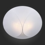 Светильник потолочный St luce SL360.552.04 TONICO