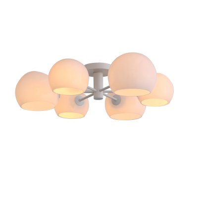 

Светильник потолочный SL434.502.06 St luce, SL434.502.06
