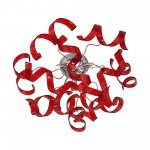 Люстра красная St luce SL452.602.03 Segreto