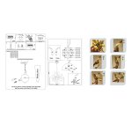 Люстра подвесная SL453.503.06E St luce SPIRAGLIO