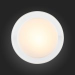 Светильник настенно-потолочный St luce SL466.502.01 BOTONE