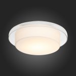 Светильник настенно-потолочный St luce SL466.502.01 BOTONE
