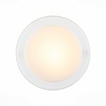 Светильник настенно-потолочный St luce SL466.502.01 BOTONE