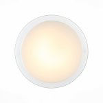 Светильник настенно-потолочный St luce SL466.512.01 BOTONE