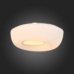 Светильник настенно-потолочный St luce SL467.502.02 BOTONE