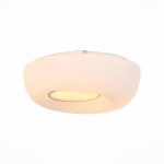 Светильник настенно-потолочный St luce SL467.502.02 BOTONE