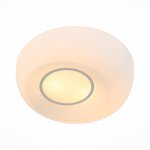 Светильник настенно-потолочный St luce SL467.502.02 BOTONE