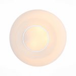 Светильник настенно-потолочный St luce SL467.502.03 BOTONE