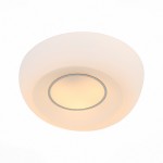Светильник настенно-потолочный St luce SL467.502.03 BOTONE