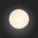Светильник настенно-потолочный St luce SL468.502.01 BAGNO