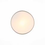 Светильник настенно-потолочный St luce SL468.502.01 BAGNO