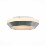 Светильник настенно-потолочный St luce SL469.502.01 BAGNO