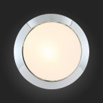 Светильник настенно-потолочный St luce SL469.502.01 BAGNO