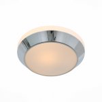 Светильник настенно-потолочный St luce SL469.502.01 BAGNO