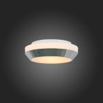Светильник настенно-потолочный St luce SL469.502.02 BAGNO