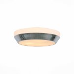 Светильник настенно-потолочный St luce SL469.502.03 BAGNO