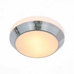 Светильник настенно-потолочный St luce SL469.502.02 BAGNO