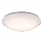 Светильник настенно-потолочный St luce SL470.551.01 Promine
