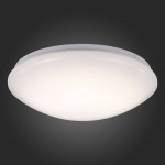 Светильник настенно-потолочный St luce SL470.551.01 Promine