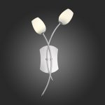 Светильник настенный бра St luce SL478.101.02 LUNA