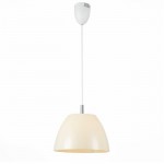 Светильник подвесной St luce SL480.553.01 DITTA