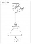 Светильник подвесной St luce SL481.403.01 LETIZIA