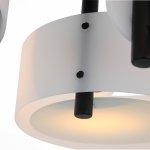 Люстра потолочная St luce SL483.402.03 FORESTA