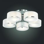 Люстра потолочная St luce SL483.502.05 FORESTA