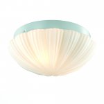 Светильник настенно-потолочный St luce SL495.502.02 BAGNO