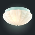 Светильник настенно-потолочный St luce SL495.502.02 BAGNO