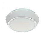 Светильник настенно-потолочный St luce SL496.502.01 BAGNO