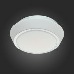 Светильник настенно-потолочный St luce SL496.502.01 BAGNO