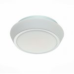 Светильник настенно-потолочный St luce SL496.502.01 BAGNO