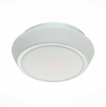 Светильник настенно-потолочный St luce SL496.502.02 BAGNO