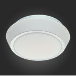Светильник настенно-потолочный SL496.502.03 St luce BAGNO