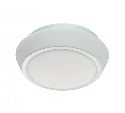 Светильник настенно-потолочный SL496.502.03 St luce BAGNO