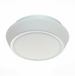 Светильник настенно-потолочный SL496.502.03 St luce BAGNO
