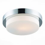 Светильник настенно-потолочный St luce SL498.502.02 BAGNO