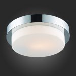 Светильник настенно-потолочный St luce SL498.552.01 BAGNO