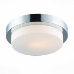 Светильник настенно-потолочный St luce SL498.552.01 BAGNO