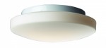 Светильник настенно-потолочный St luce SL500.552.03 Bagno