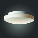 Светильник настенно-потолочный St luce SL500.502.01 Bagno