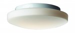Светильник настенно-потолочный St luce SL500.502.02 Bagno