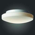 Светильник настенно-потолочный St luce SL500.552.03