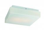 Светильник настенно-потолочный St luce SL503.502.02 BAGNO