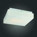 Светильник настенно-потолочный St luce SL503.502.02 BAGNO