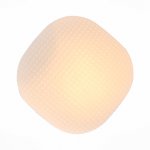 Светильник настенно-потолочный St luce SL504.552.01 PONE