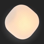 Светильник настенно-потолочный St luce SL504.552.01 PONE
