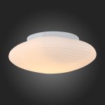 Светильник настенно-потолочный St luce SL504.552.01 PONE