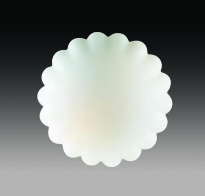 Светильник настенно-потолочный St luce SL505.502.01